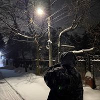 оригинальный звук