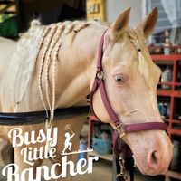 busylittlerancher