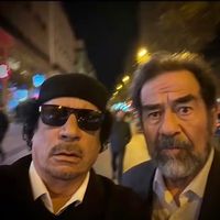 الصوت الأصلي