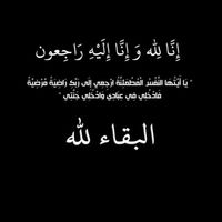 7.amod_