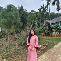 nhạc nền - donguyenvong1thidoiten_
