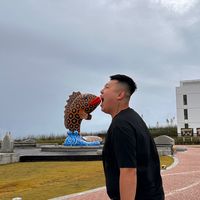 原聲 - 。