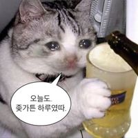 오리지널 사운드 - Whatrylookingat