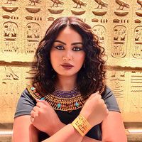 _amiradarwish_