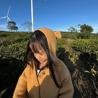 nhạc nền - Ngọc lê vx