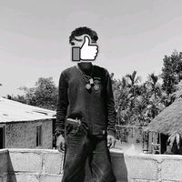 user244811980092