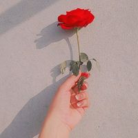 itx_sahiba_jee