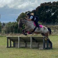 pippa.eq.nz