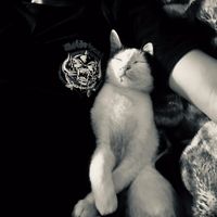 pustuuuuu