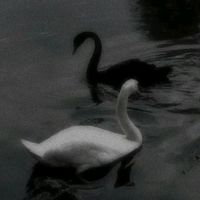 soulin.stanzas