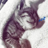 original sound - k1ddcm