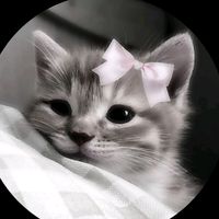 nishpa..0