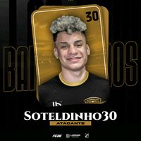soteldinhopro