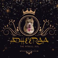 adheera_xxlpitbull