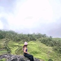 suara asli - Rawwrrr🦀✨