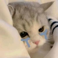 オリジナル楽曲 - みそ.