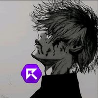 rs.pkt