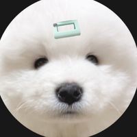 shake_gui