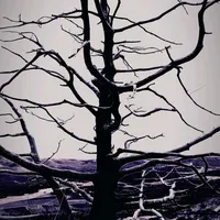 original sound - alkarj972