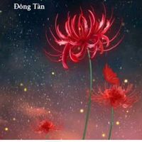 nhạc nền - Diệp Hương