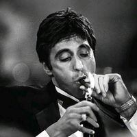 mr.kuzi7