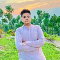 arif.awan846