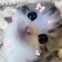 _suotngayff