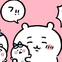 teipar_1126