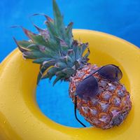 الصوت الأصلي