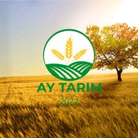 55ay.tarim55