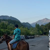 seid_017