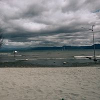 rifkim_56