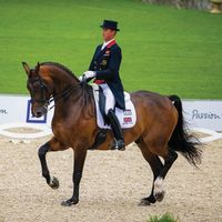dressage160