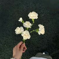 suara asli - jeketiifourtyeight