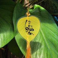nhạc nền - Thiên Phước🍀Minh Đăng