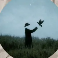 original sound - plpxx