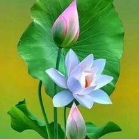 original sound - Naing Lin