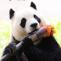 jieyucang