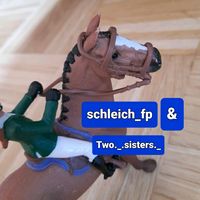 mystery._.schleich