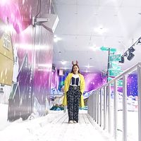 analyn1529