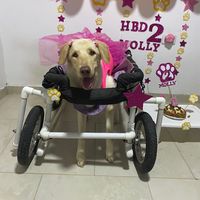 molly.labra