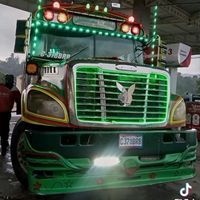 alexanderh743