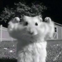 เสียงต้นฉบับ - มีนเต็มมั้ยก่อน ⑅