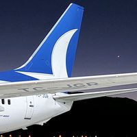 dalamanaviation