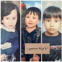 الصوت الأصلي