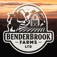 original sound - BenderBrook