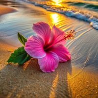 pinky_sparkles1