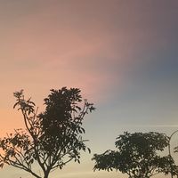 original sound - Habinash❤️‍🔥🍂