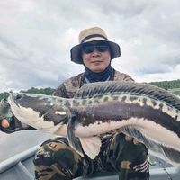 sengwei5
