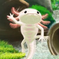 オリジナル楽曲 - 28